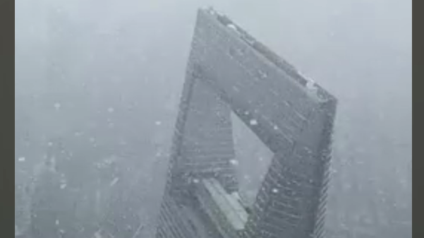 视频 | 上海又双下雪了！上海之巅飘起“认真的雪”