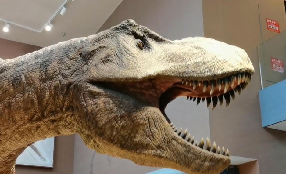 视频 |  《侏罗纪公园》复制恐龙能否成为现实？这个展览揭晓答案