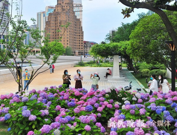 影像这五年丨徜徉公园城市 家门口便是“绿水青山”