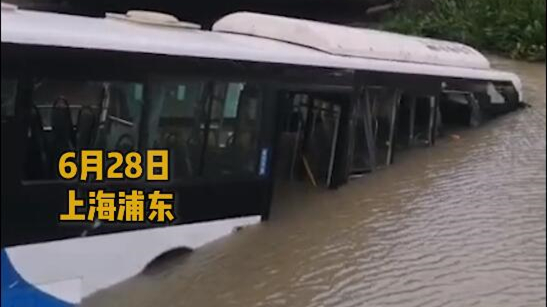 視頻 | 上海浦東一公交車滑入河道 現場市民入水合力救出被困駕駛員