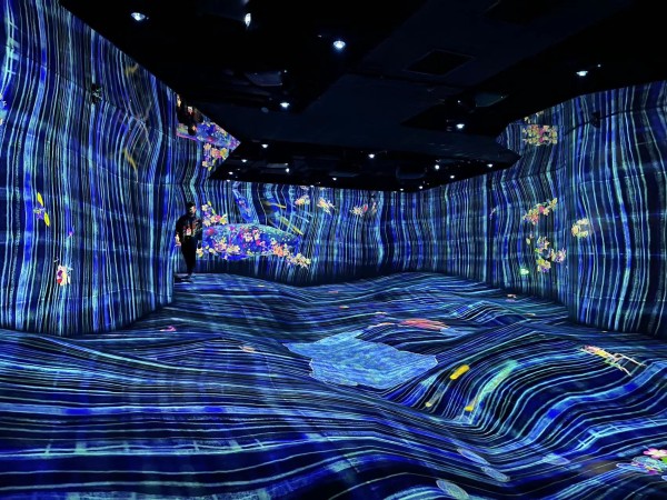 世界上最大的数字艺术展览来北京了，沉浸体验艺术了解一下_新民社会_新民网