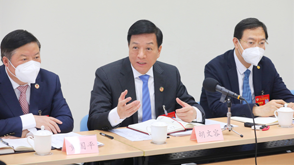 市政协十四届一次会议主席团常务主席胡文容参加分组讨论