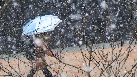 视频 | 银装素裹的魔都！上海落下“认真的雪”