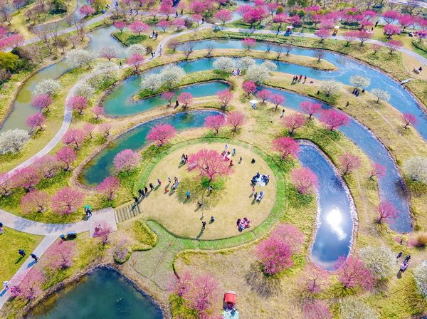 春暖花开 踏青好时节