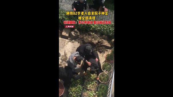视频 | 网传82岁老人自家院子种菜被全部清理，街镇回应：系公共地块，整治前已告知