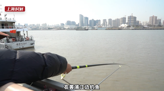 视频 | 官方认证“钓鱼区域”？就在黄浦江边！爷叔：很火爆，周末要抢位置