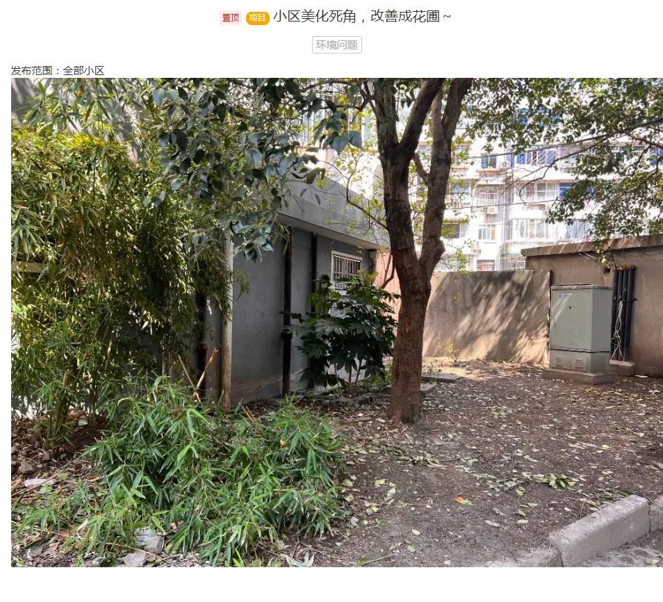 推进美好社区建设！他们合力打造小区“天然氧吧” 上海宝山 新民网