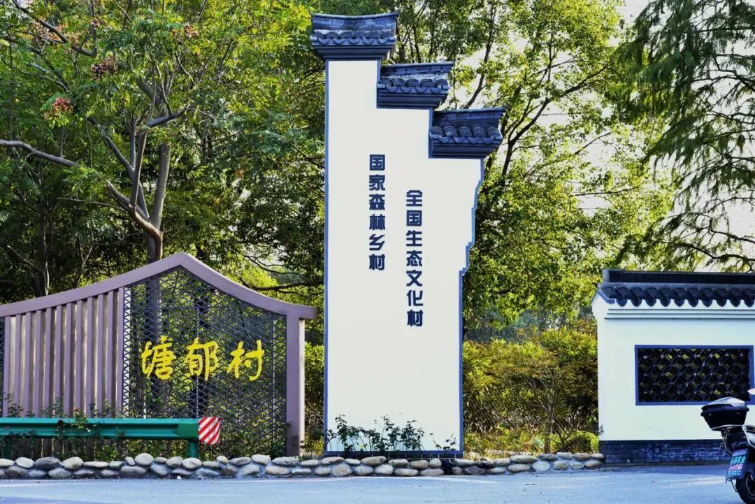 宜居宜业宜游青浦这个幸福村让诗和远方不是梦！