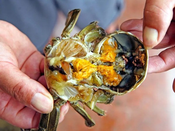 爆浆流黄！上海牌“六月黄”上市啦！第一个吃螃蟹的是你吗？