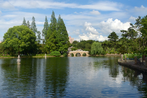 杨浦公园修复水域生态环境