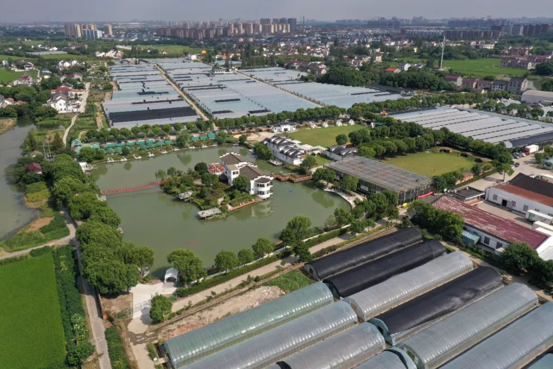 Kaiyun 开云“青”心幸福旅游季丨你所向往的生活就在青浦君宴休闲农业园