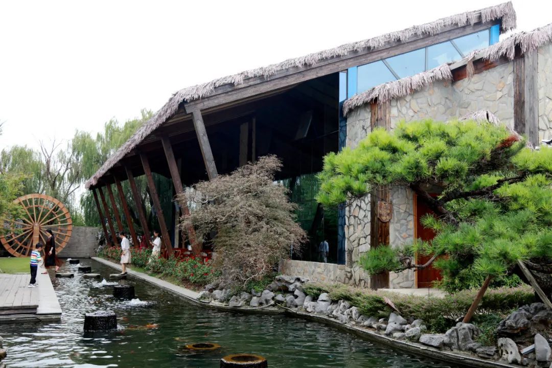 萌宠天地、露营采摘、篝火晚会……快!抓住假期的小尾巴撒欢玩_上海嘉定_新民网