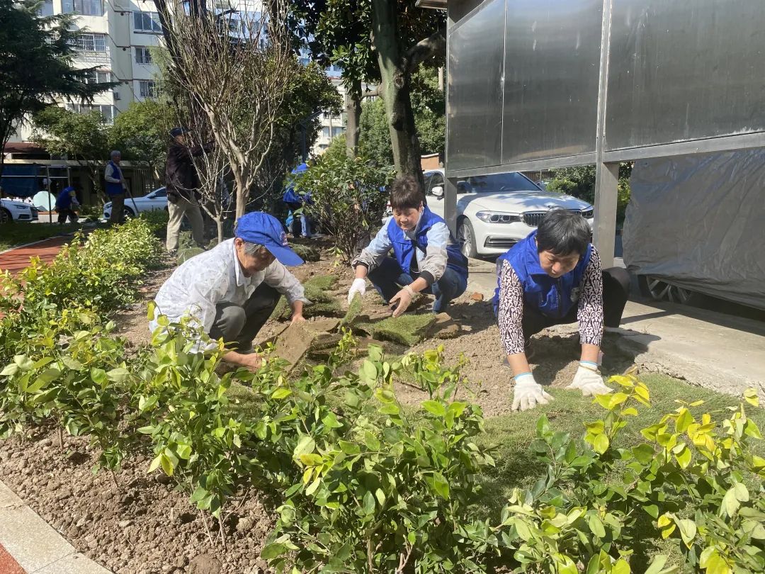 完美电竞从设计到挖土居民的活动中心居民建(图2)