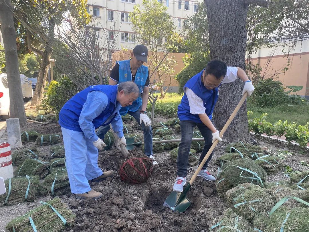 完美电竞从设计到挖土居民的活动中心居民建