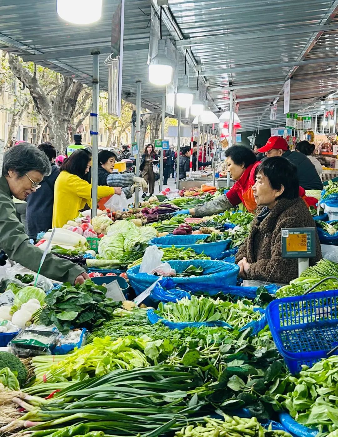 爱了爱了梧桐树下的风味人间！泛亚电竞(图2)