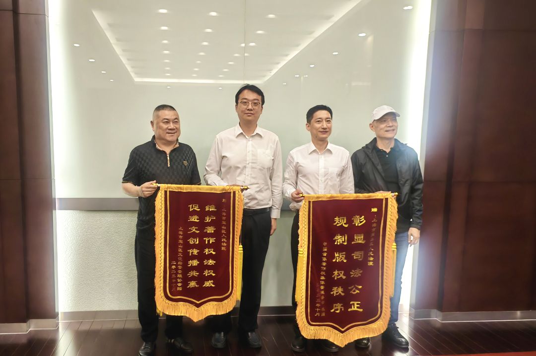 如何提升知识产权保护的实效？“平台 站点”齐发力！(图1)