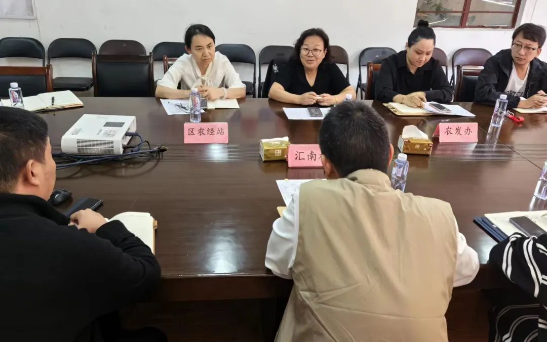 调研手记｜闵行农村集体资产超1300亿元如何持续发展、分好“蛋糕”？
