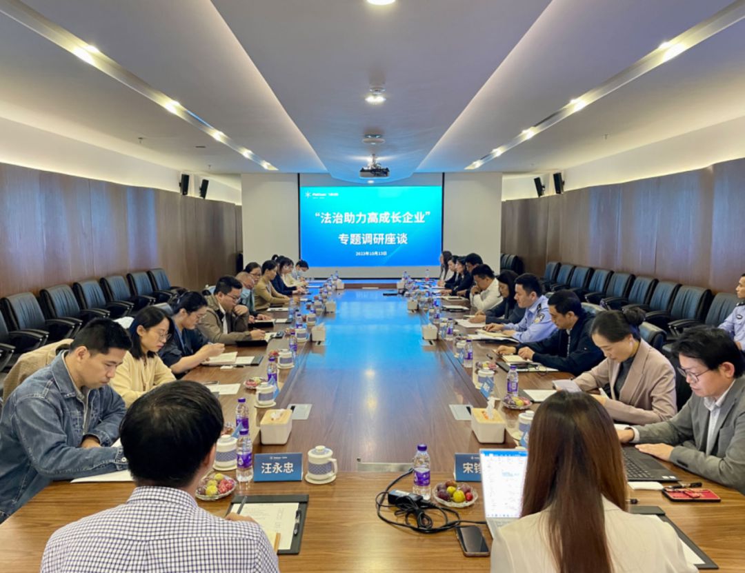 如何提升知识产权保护的实效？“平台 站点”齐发力！(图4)