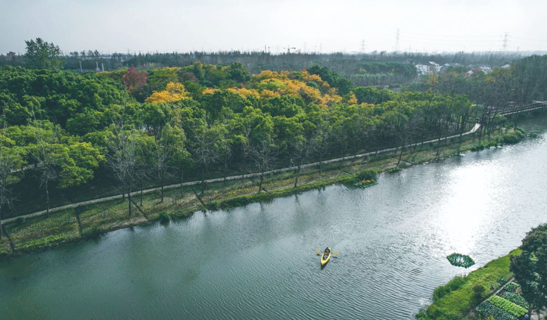 浦东这4个村获评第一批上海市森林乡村！