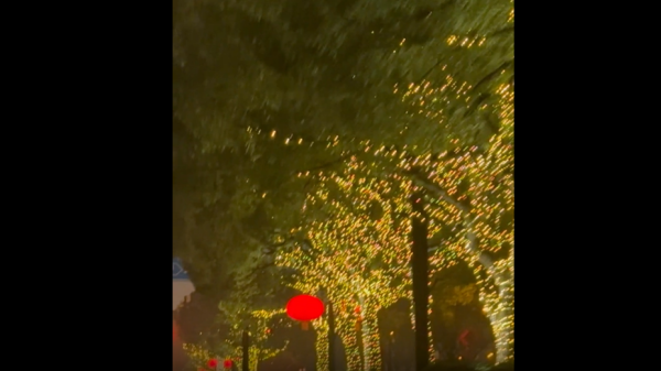 视频 | 年味来了！大红灯笼“点亮”上海街头