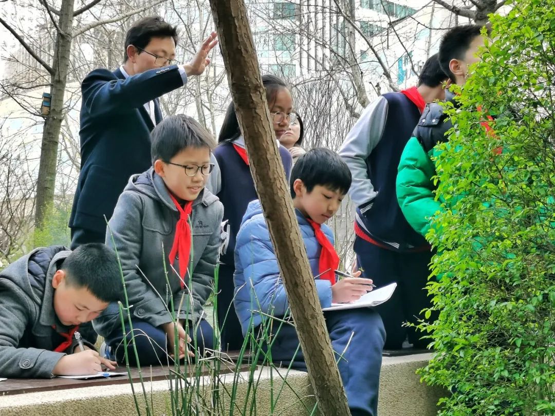 “遵义花完美电竞境”添新绿！天山路街道这个口袋公园真热闹(图5)