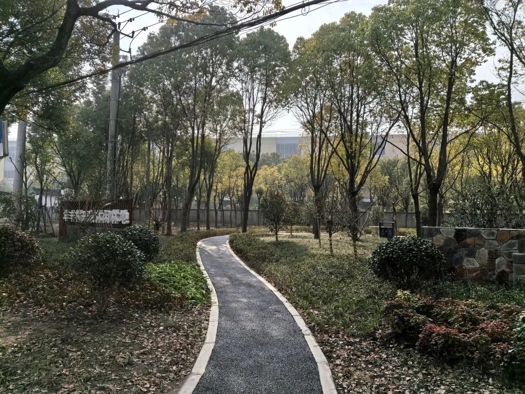 完美电竞绿色“嘉”园丨新植樱花碧桃、增设健身步道!嘉定开放休闲林地+1(图2)