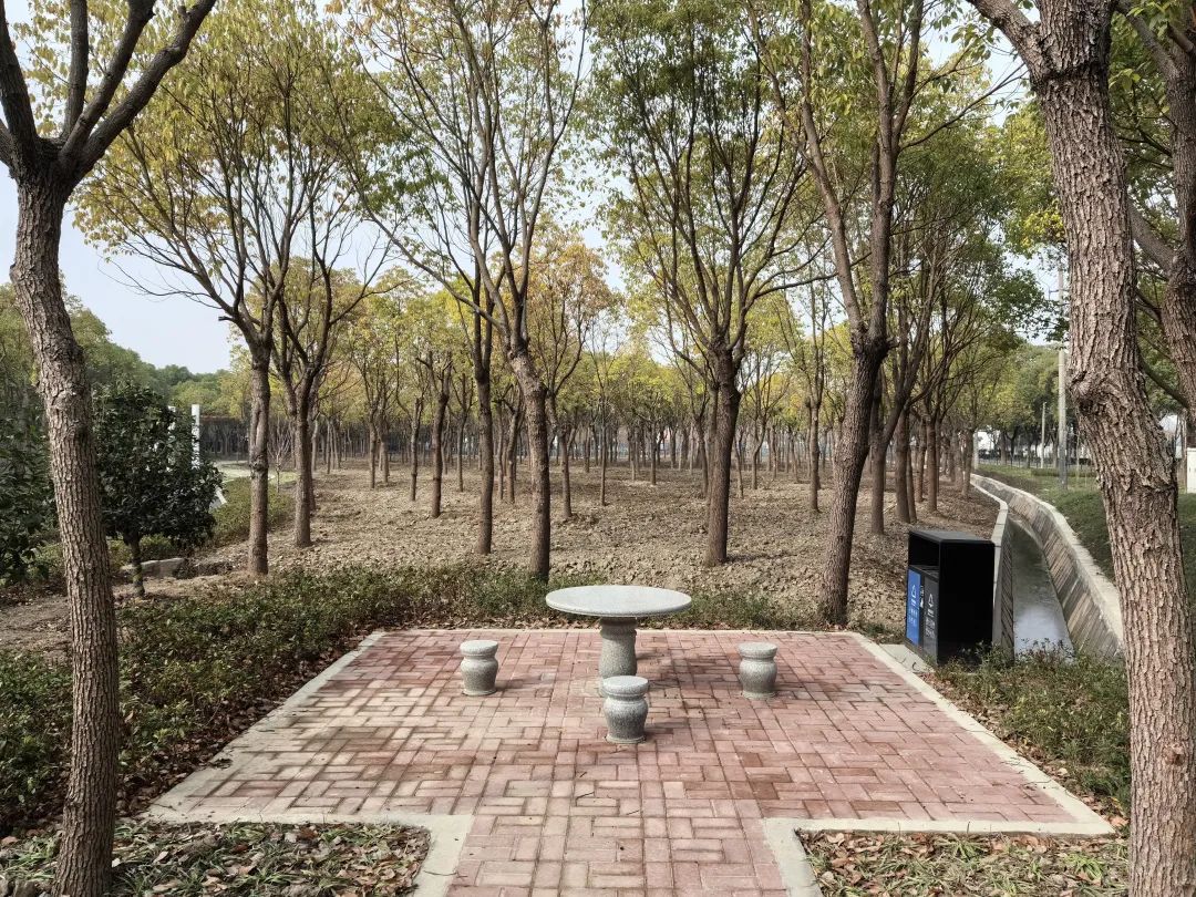完美电竞绿色“嘉”园丨新植樱花碧桃、增设健身步道!嘉定开放休闲林地+1(图3)