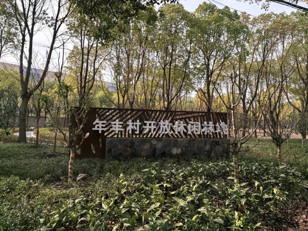 完美电竞绿色“嘉”园丨新植樱花碧桃、增设健身步道！嘉定开放休