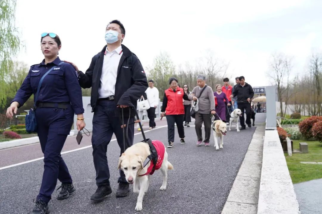 天博体育官方平台入口长宁的“郊野公园”迎来一群“特殊的客人”……(图2)