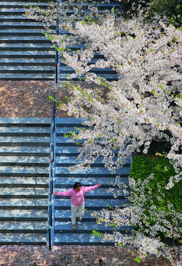 世博源的“樱花楼梯”