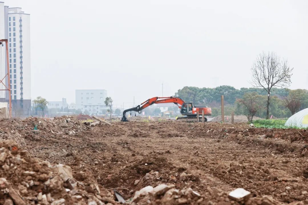 時尚圖案設計服裝（時尚圖標設計）