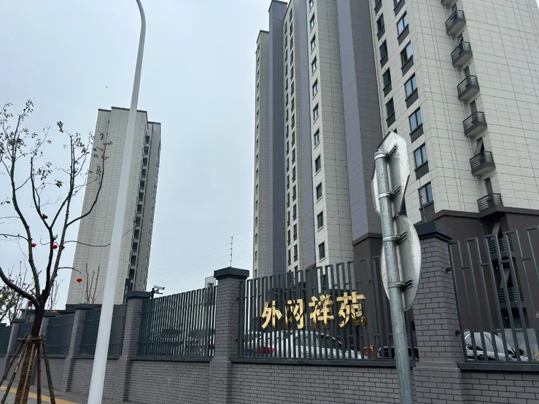 愛辱人士新支散遊戲《極速哈士奇》