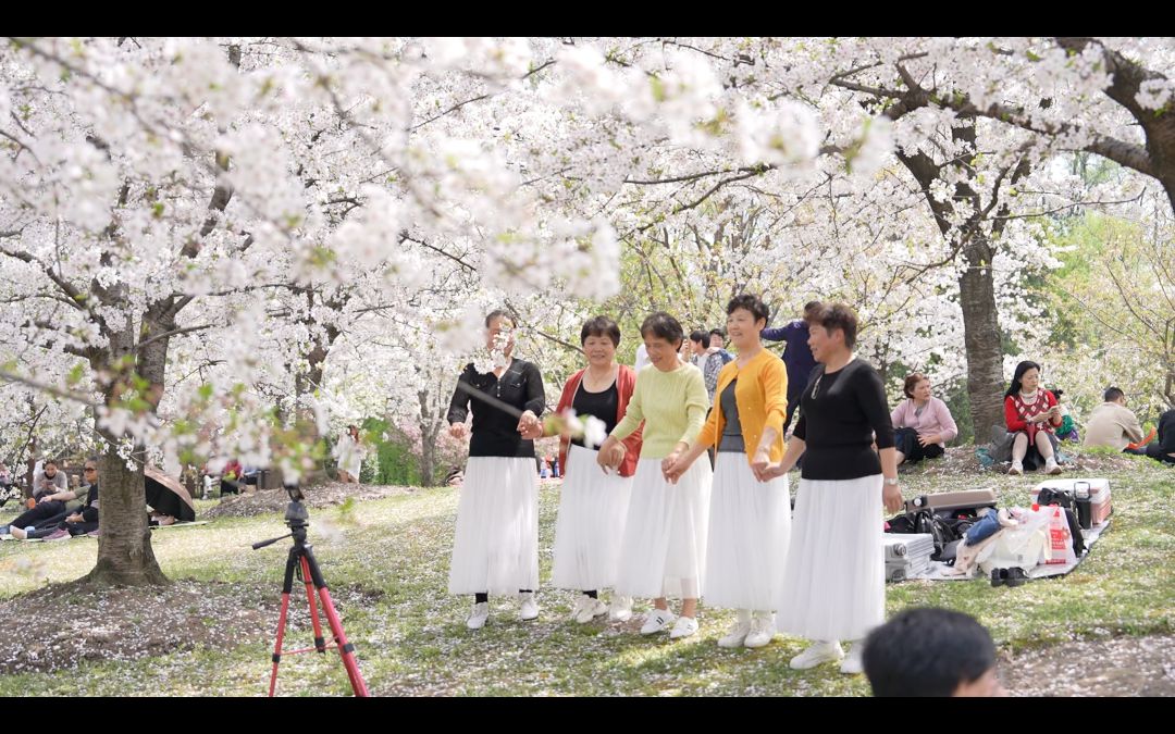 女夏季服裝時尚洋氣（夏季女服裝搭配）