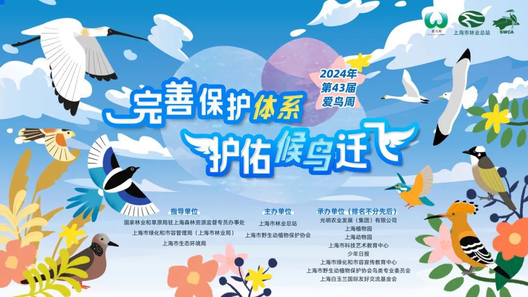 第43届上海“爱鸟周”来啦，速了解下宝山的鸟类吧