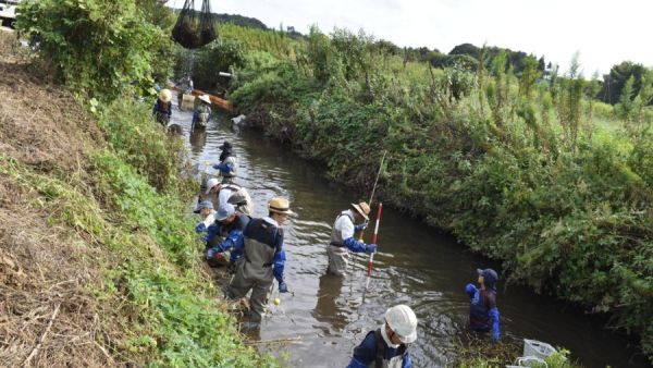 日本千叶县一人工河道检测出有机氟化合物超标