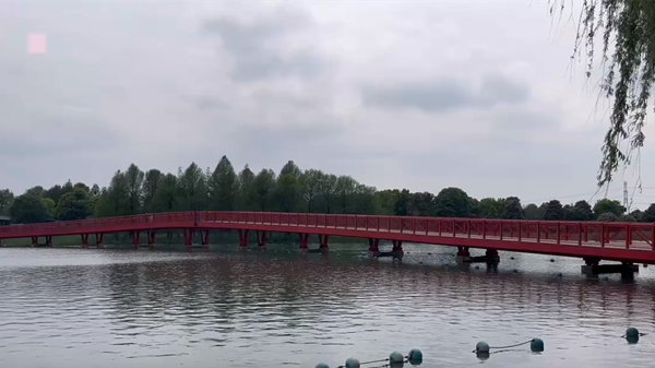 视频 | 已观测到124种！上海迪士尼星愿公园成鸟类“天堂”