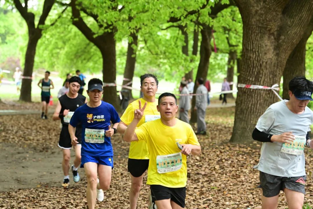 kok中欧登录入口扩大杨浦“朋友圈”！森林越野半马背后杨浦体育产业乘势而上(图5)