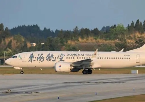 上海浦东机场，飞机已滑行女子提一个要求，100多名乘客被迫下飞机