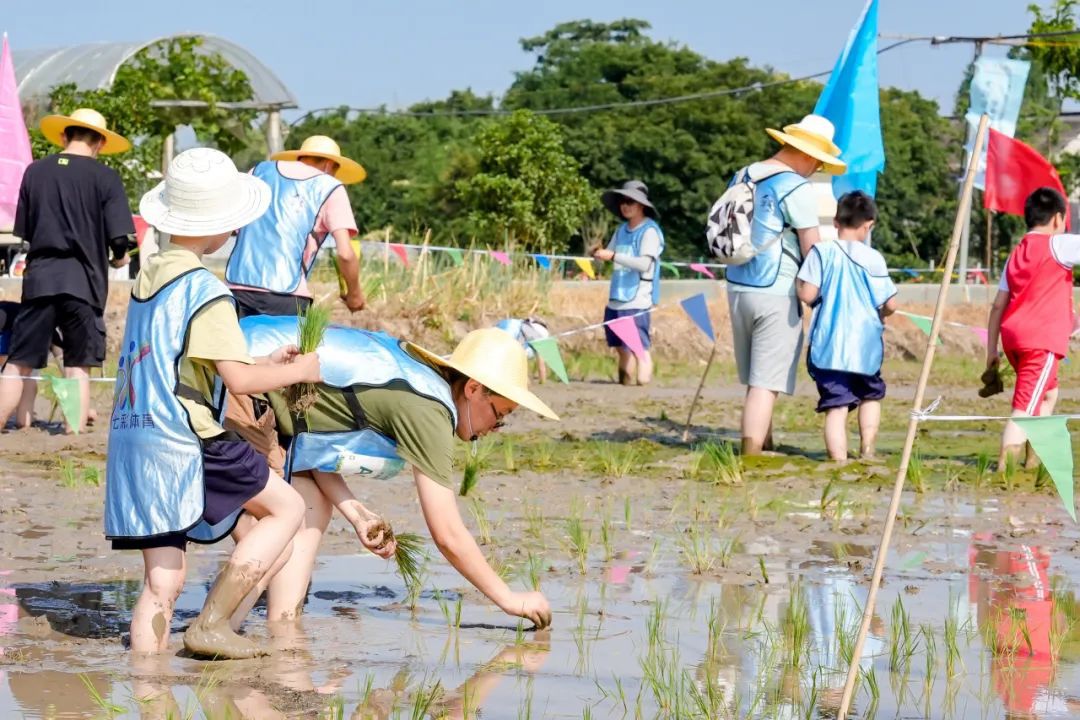 半岛·体育中国官方网站平台登陆插秧、套鹅、钓虾……体验农耕野趣解锁夏日快乐(图2)