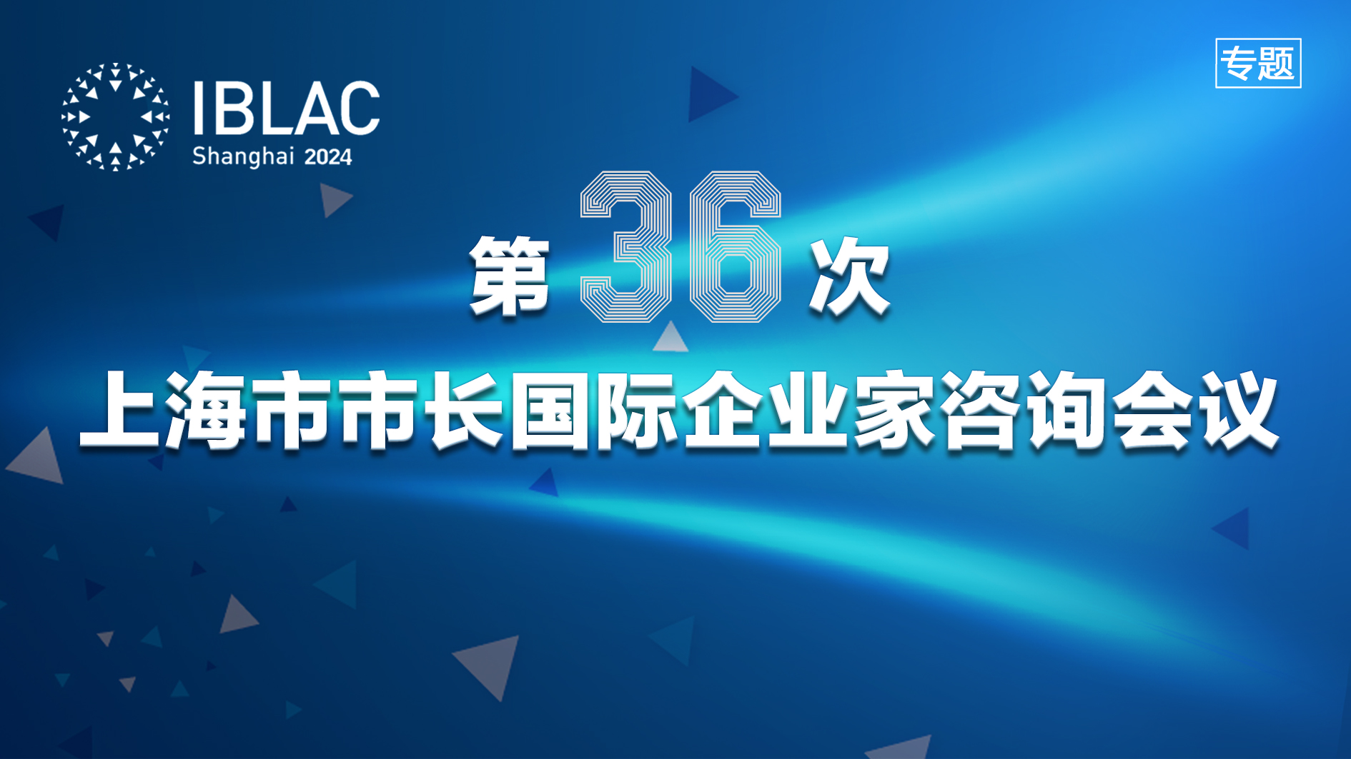 第36次上海市市长国际企业家咨询会议