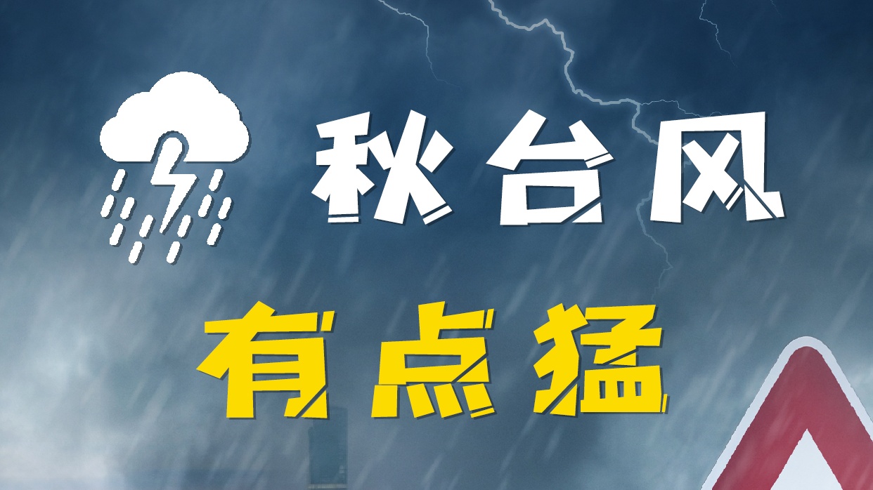 图个明白丨秋台风“康妮”来袭，这些要注意