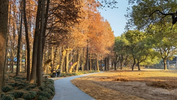 共青森林公园首条健身步道向游客开放
