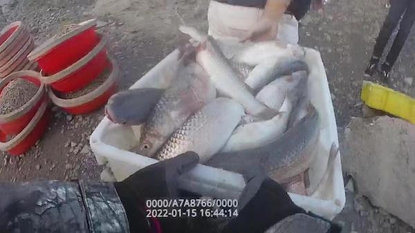 2022年上海首起非法捕捞案告破，缴获渔获1100公斤