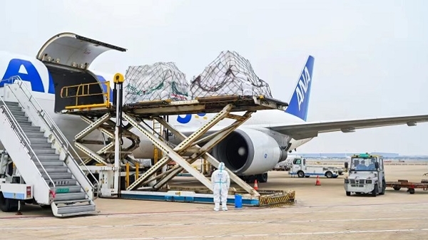 浦东机场货运量持续回升 5月以来比上月同期增长6成以上