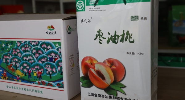 夏日限定！沪郊桃味和枣味兼具的脆甜枣油桃上市