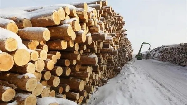 德国天然气危机令木材成为新的“厕纸”