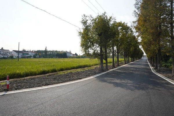 修复路面、铺设沥青混凝土、完善标志……练塘这些农村道路迎来提档升级_时政_新民网