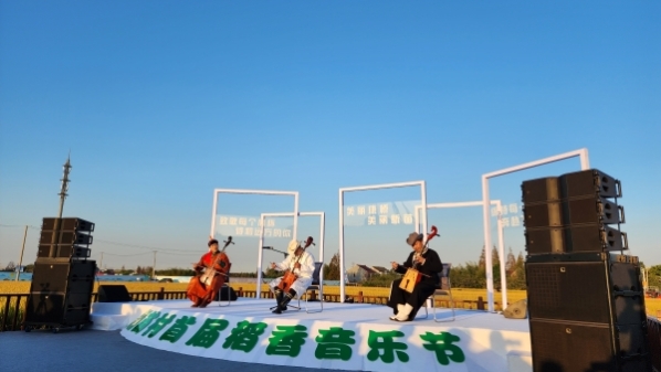 新民特写 | 到稻田听秋天的第一场音乐会 2022年康桥镇新苗村首届稻香音乐节举行
