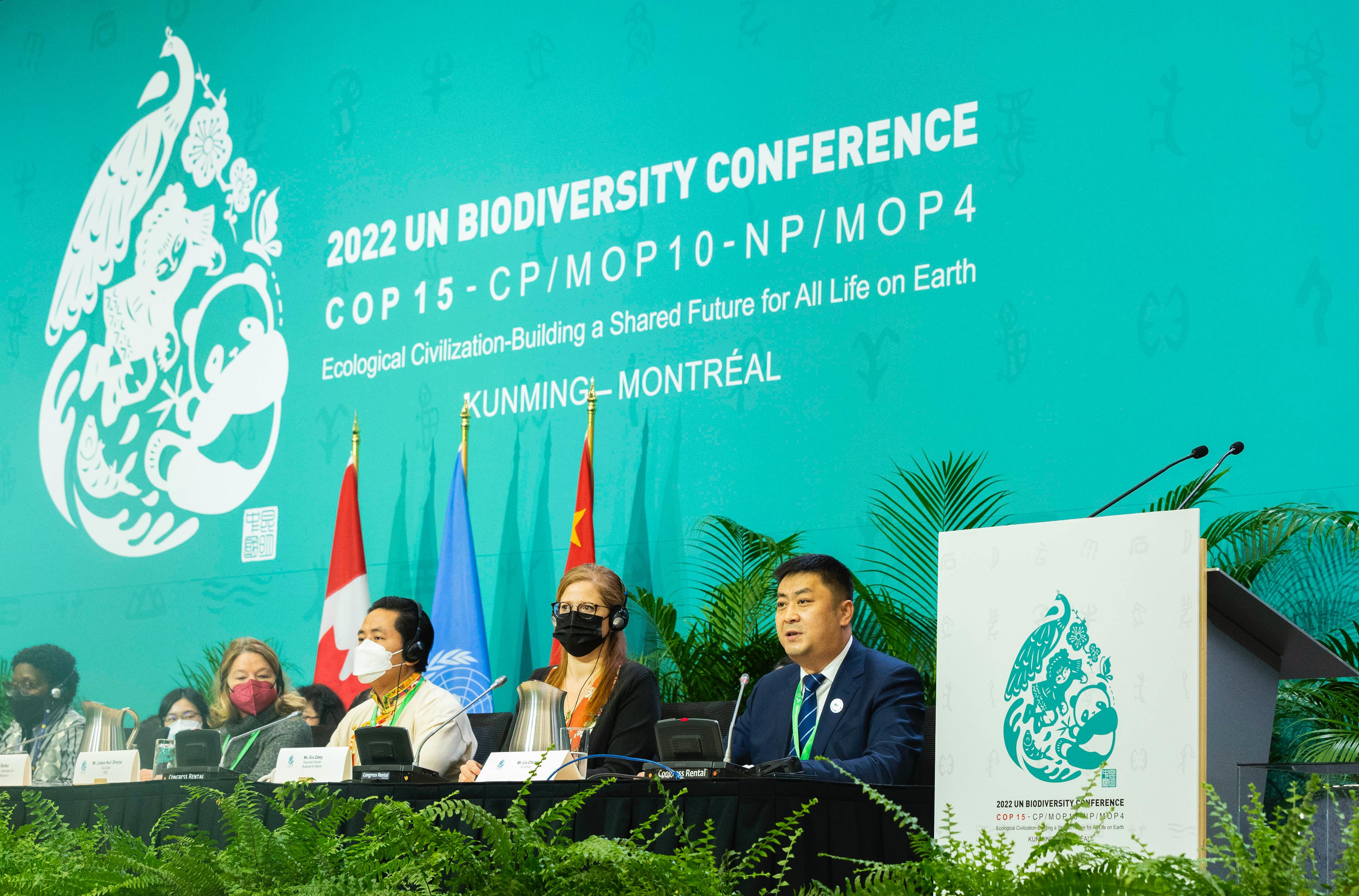 伊利：乳制品行业唯一的“COP15特别合作伙伴” 与全球共绘生物多样性保护蓝