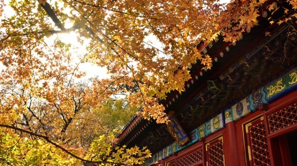 七夕会·旅游 | 冷香山